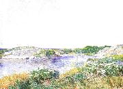 Childe Hassam The Little Pond at Appledore china oil painting artist